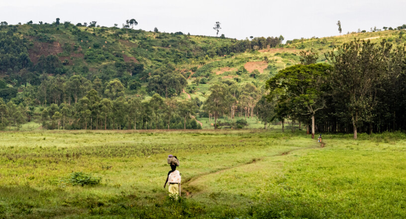 Genre, santé et changements climatiques : les femmes et les personnes LGBTQIA+ font face à des vulnérabilités croisées Gender, health and climate change: women and the LGBTQIA+ community are vulnerable on many levels